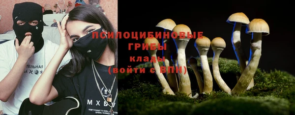 Альфа ПВП Аркадак
