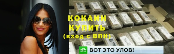 шишки Армянск