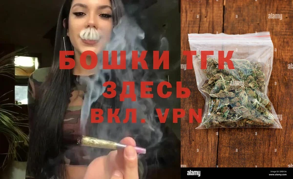 дживик Балахна