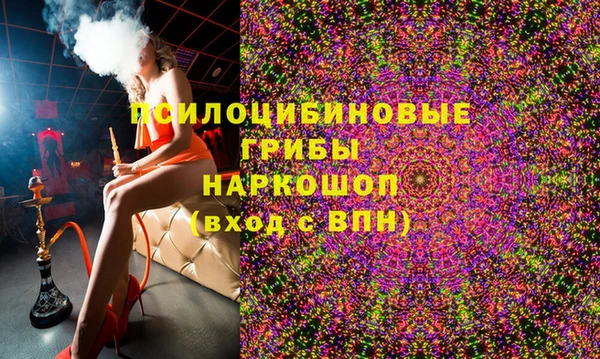 Альфа ПВП Аркадак