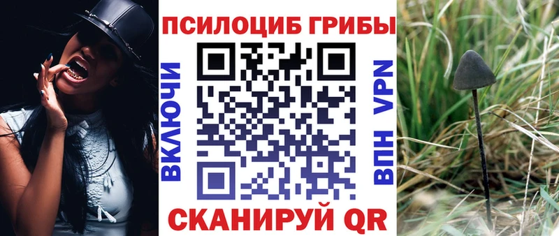 Галлюциногенные грибы GOLDEN TEACHER  ОМГ ОМГ ссылка  Советск  купить наркотики цена 